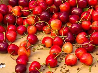 Vibrant red cherries on display with stems and leaves on cardboard surface