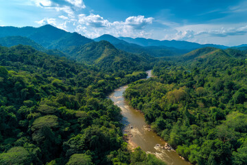Aerial view of lush green mountains and winding river in a tropical rainforest