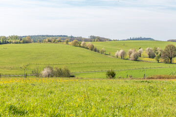 Frühlingslandschaft