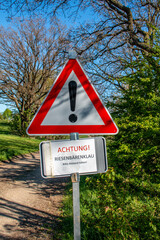 Riesenbärenklau