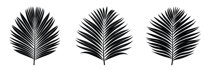 Black palm leaf vector illustration, tropical leaves silhouette design, botanical foliage plant isolated on white
