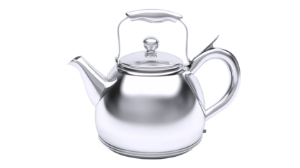 Classic Whistling Stainless Steel Tea Kettle