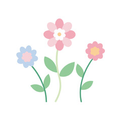 pink flower on white background