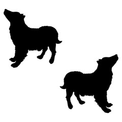 Dogs silhouette, Double Dogs set box icon, Dogs illustration, silhouette, set icon, silhouette, Dogs icon