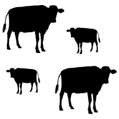 cowboy Cows silhouette, Double Cowboy set box icon, Cows illustration, silhouette, cow boy set icon, silhouette, Cows icon