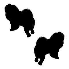 Chow Chow silhouette, Double Chow Chow set box icon, Chow Chow illustration, silhouette, set icon, silhouette, Chow Chow icon