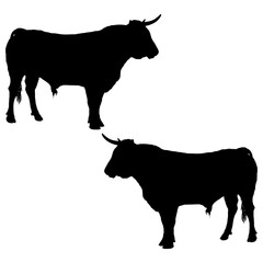 Buffalo silhouette, Double Buffalo set box icon, Bull illustration, silhouette, set icon, silhouette, Buffalo icon