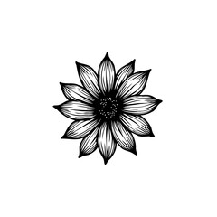 Elegant botanical vector illustration of a flower with intricate line work