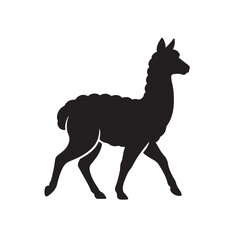 Fototapeta premium Walking alpaca icon vector silhouette
