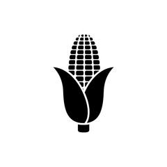 Corn cob with partial husk on white background