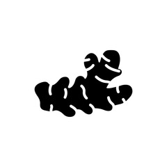 Fresh Ginger Root with Uneven Shape and Natural Texture