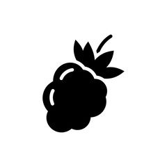 Oval-shaped miracle berry isolated on white background with natural texture