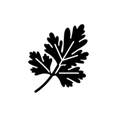 Fresh Parsley Leaf with Natural Cuts Close Up Green Herb