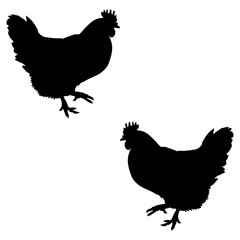 Chicken silhouette, Double Chicken set box icon, Chicken illustration, silhouette, set icon, silhouette, Chicken icon