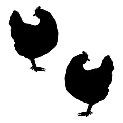Chicken silhouette, Double Chicken set box icon, Chicken illustration, silhouette, set icon, silhouette, Chicken icon