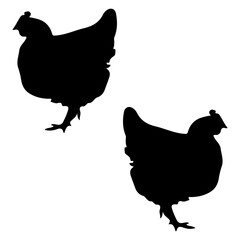 Chicken silhouette, Double Chicken set box icon, Chicken illustration, silhouette, set icon, silhouette, Chicken icon