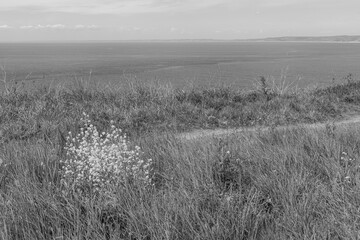 Isle of Portland an der Jurassic coast
