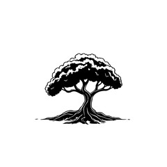 Striking Silhouette: Solitary Tree with Extensive Root System on White Background