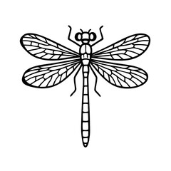 Damselfly - Order Odonata
