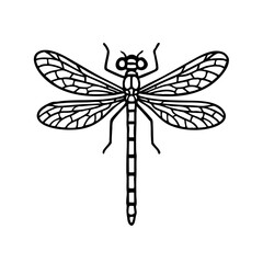 Damselfly - Order Odonata