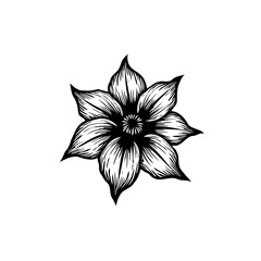 Elegant black and white flower illustration with intricate details and classic look