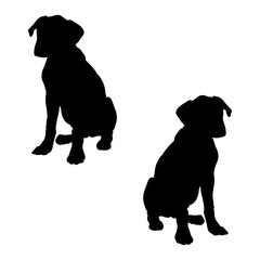 Boxing silhouette, Double Boxing set box icon, Boxing illustration, silhouette, set icon, silhouette, Boxer dogs icon