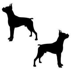 Boxing silhouette, Double Boxing set box icon, Boxing illustration, silhouette, set icon, silhouette, Boxer dogs icon