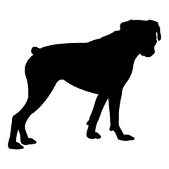 Boxing silhouette, Double Boxing set box icon, Boxing illustration, silhouette, set icon, silhouette, Boxer dogs icon