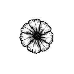Elegant black and white floral illustration with delicate petal details design