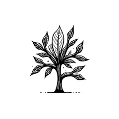 Detailed Black and White Drawing of a Tree with Dense Foliage and Artistic Style