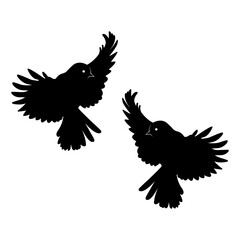 Birds silhouette, Double macaws set box icon, Birds illustration, silhouette, Robin set icon, silhouette, Birds icon