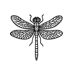 Dragonflies - Order Odonata