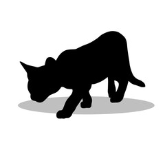 Bengal Cat silhouette, Double Bengal Cat set box icon, Bengal Cat illustration, silhouette, set icon, silhouette, Bengal Cat icon