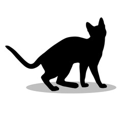 Bengal Cat silhouette, Double Bengal Cat set box icon, Bengal Cat illustration, silhouette, set icon, silhouette, Bengal Cat icon