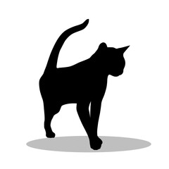 Bengal Cat silhouette, Double Bengal Cat set box icon, Bengal Cat illustration, silhouette, set icon, silhouette, Bengal Cat icon