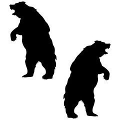 Bear silhouette, Double Bear set box icon, Bear illustration, silhouette, set icon, silhouette, Bear icon
