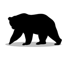 Bear silhouette, Double Bear set box icon, Bear illustration, silhouette, set icon, silhouette, Bear icon