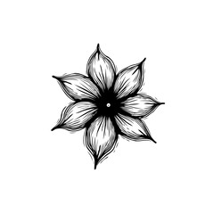 Elegant hand-drawn floral illustration with delicate line work and minimalistic design