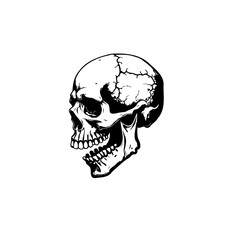 Skull illustration in black and white with high detail, perfect for dark themes