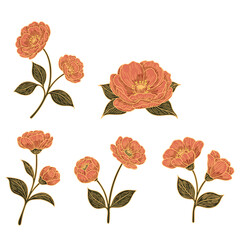 Set of Vintage Hand-Drawn Floral Illustration &ndash; Botanical Line Art of Blooming Flowers and Leaves