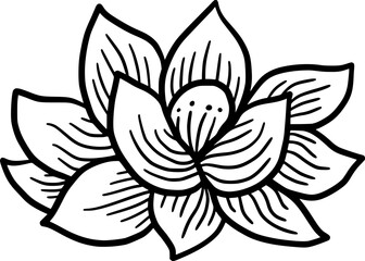 Hand Drawn Lotus Flower 