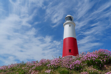 Frühling auf der Isle of Portland in England
