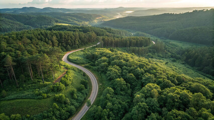 Fototapeta premium Aerial View: Winding Road Through Lush Green Forest & Rolling Hills at Sunset
