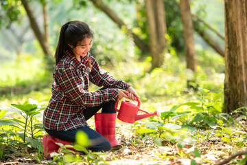 Asia young gardener woman help afforest and water the plant with sapling tree outdoors in forest nature spring for reduce global warming growth feature and take care nature earth.