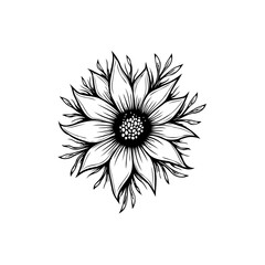Elegant sunflower illustration with detailed petals and leaves in minimalist style