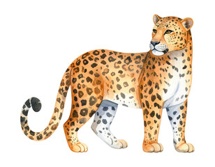 Cartoon watercolor leopard Illustration. Animal clipart illustration.
