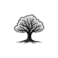 Detailed Black and White Vector Illustration of a Tree with Prominent Branches