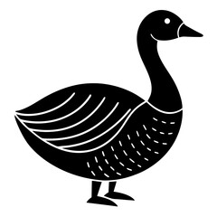 duck isolated on white