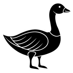 duck isolated on white