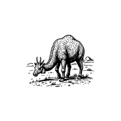 Vintage illustration of a grazing deer in black and white in vector format